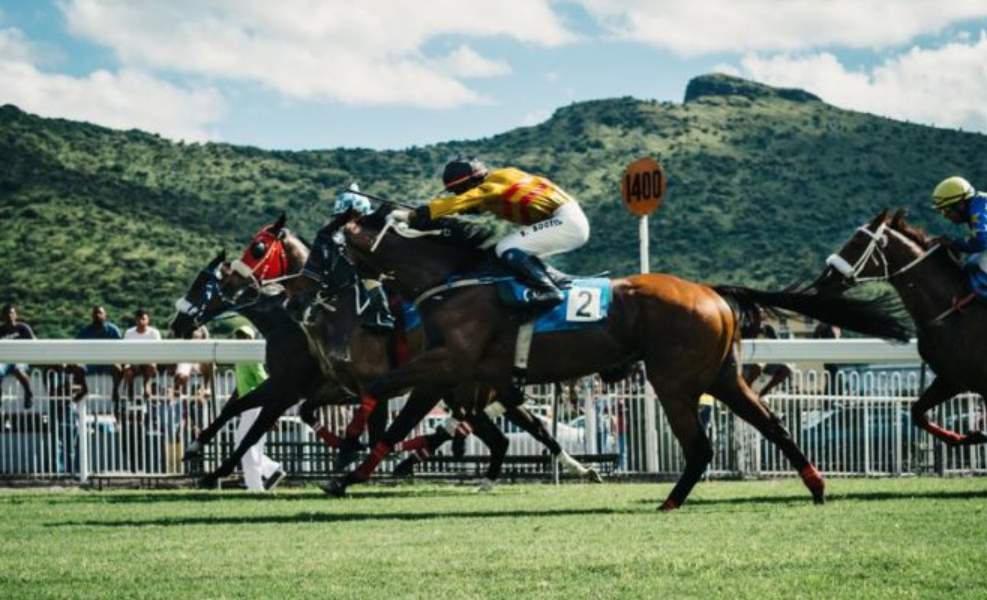 kappacourse || kappa course || kappa turf