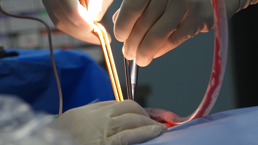 common complications and solutions for 4582161912